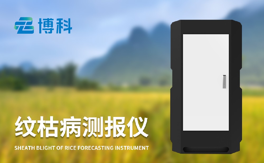 玉米大斑病监测仪