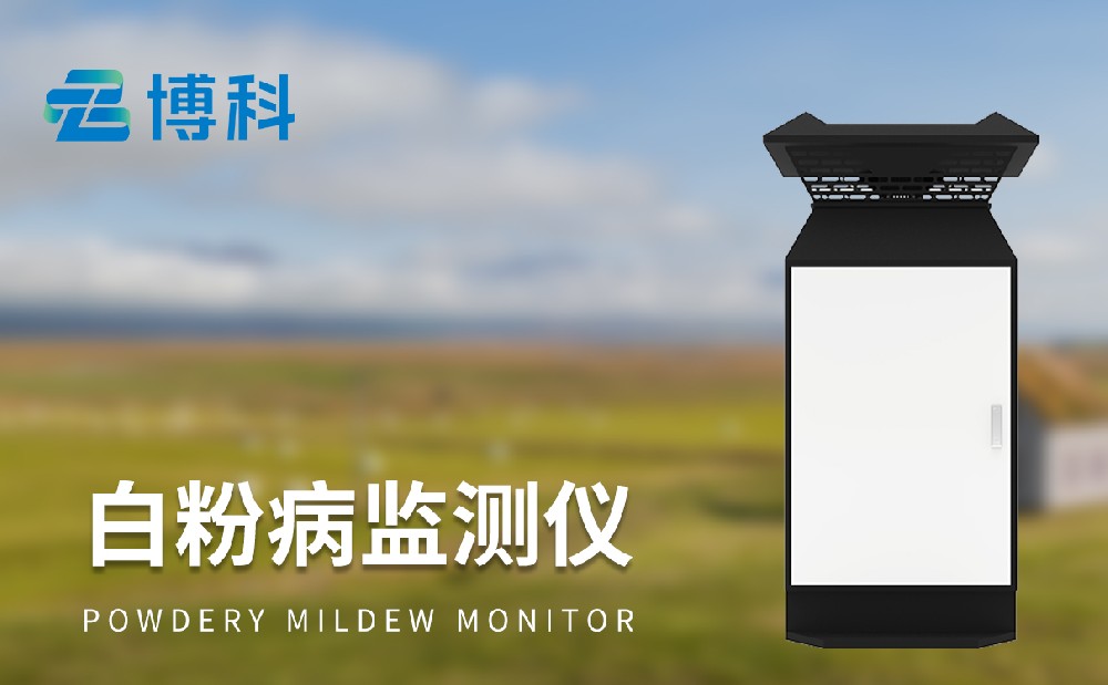 小麦白粉病监测仪